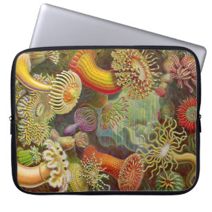 Vintage Haeckel Anemones Laptop Sleeve