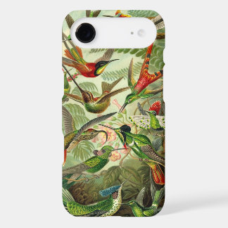 Vintage Haeckel Birds