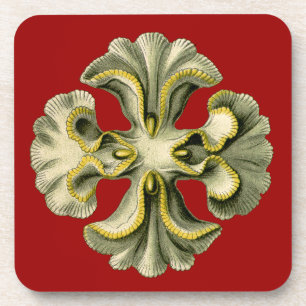 Vintage Haeckel Coaster