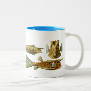 Vintage Haeckel Fish Two-Tone Coffee Mug