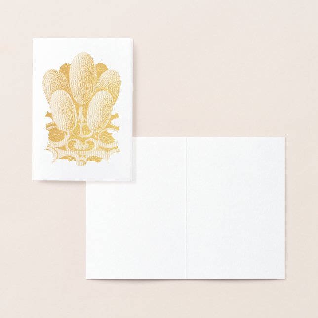 Vintage Haeckel Foil Card (Display)