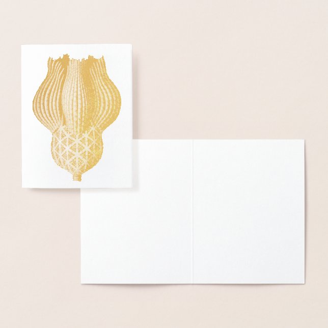 Vintage Haeckel Foil Card (Display)