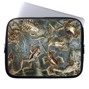 Vintage Haeckel Frogs Laptop Sleeve