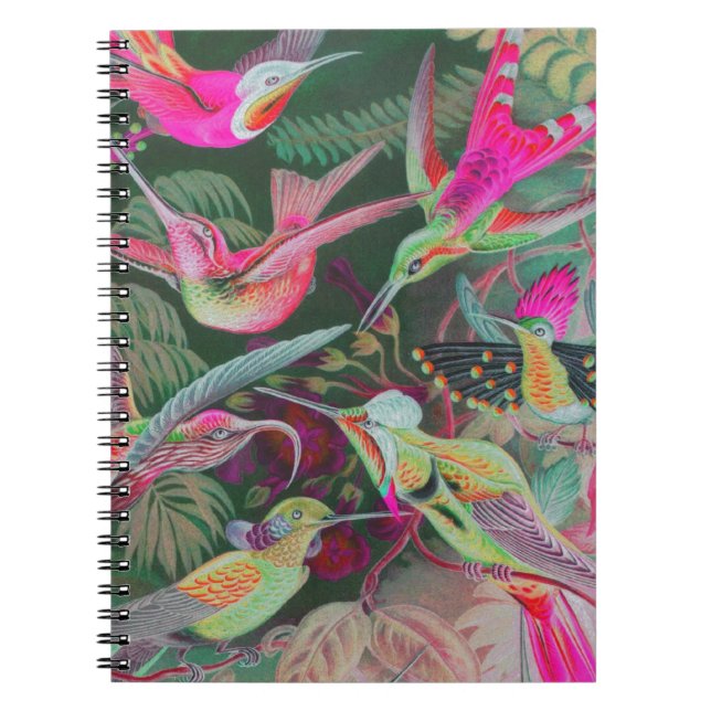 Vintage Haeckel Hummingbirds Notebook (Front)