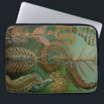 Vintage Haeckel Laptop Sleeve<br><div class="desc">Vintage Haeckel laptop sleeve.</div>