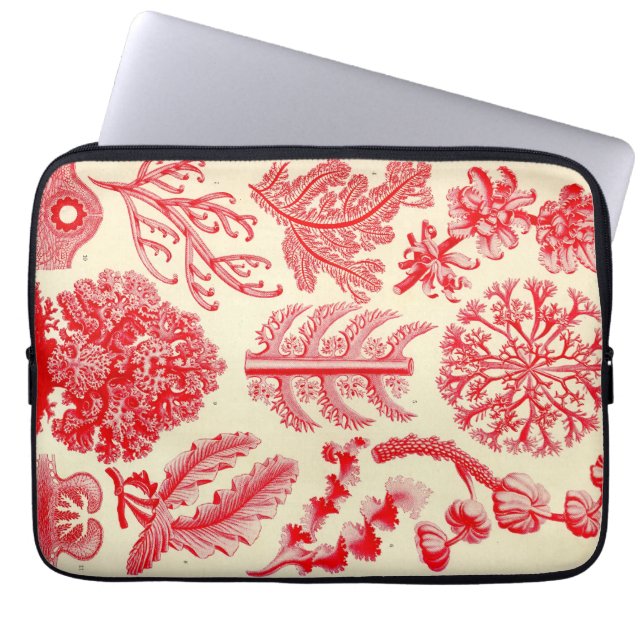 Vintage Haeckel Laptop Sleeve (Front)