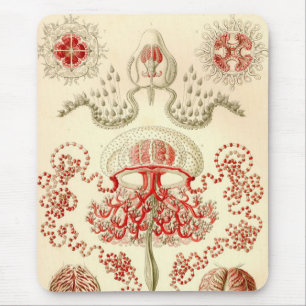 Vintage Haeckel Mouse Pad
