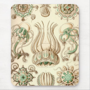 Vintage Haeckel Mouse Pad