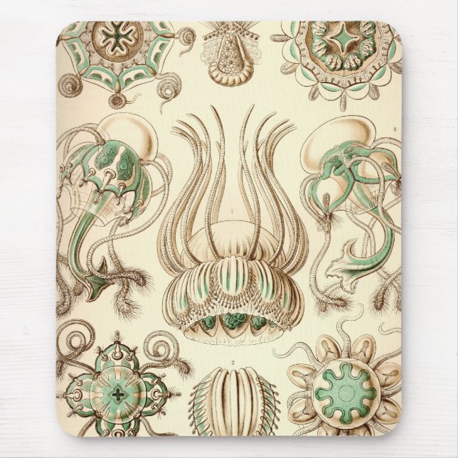 Vintage Haeckel Mouse Pad (Front)