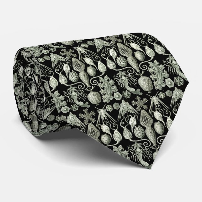 Vintage Haeckel Negative Tie (Rolled)