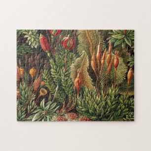 Vintage Haeckel Plant Life Print Jigsaw Puzzle