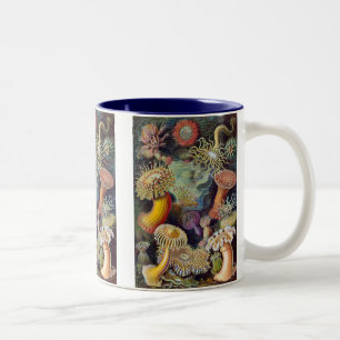 Vintage Haeckel Sea Anemone Two-Tone Coffee Mug