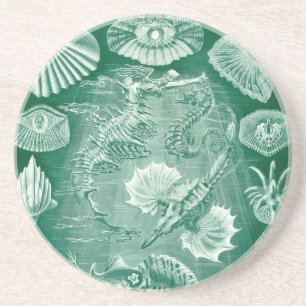 Vintage Haeckel Seahorse Coaster