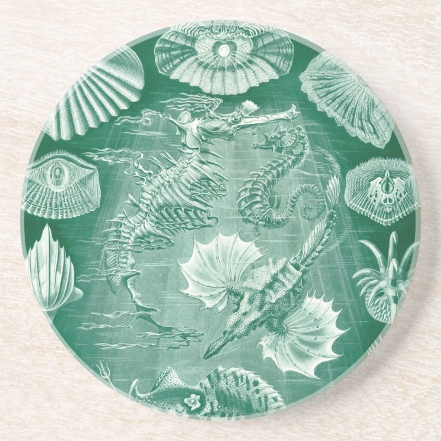 Vintage Haeckel Seahorse Coaster (Front)