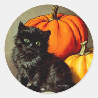 Vintage Halloween Black Cat and Pumpkins Classic Round Sticker