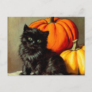 Vintage Halloween Black Cat and Pumpkins Postcard