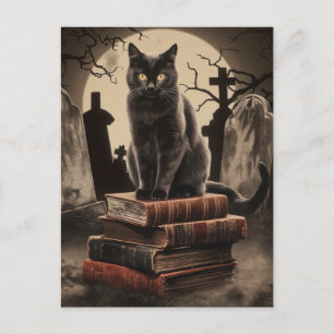 Vintage Halloween Black Cat  Postcard