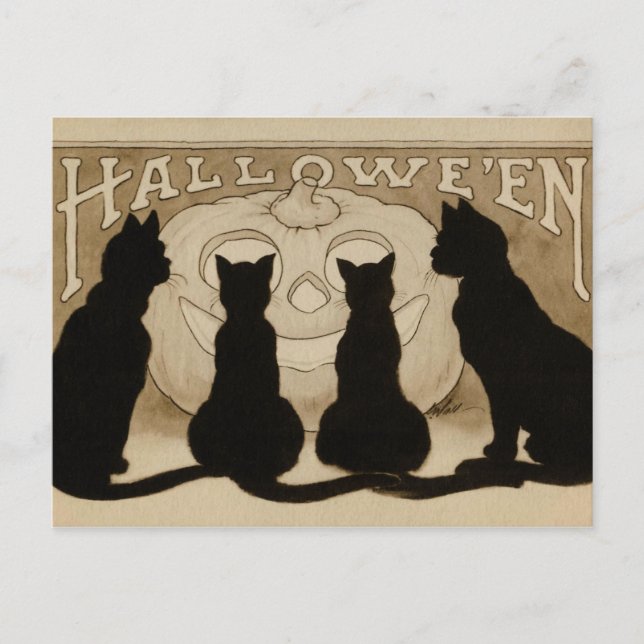 Vintage Halloween black cats pumpkin postcard (Front)