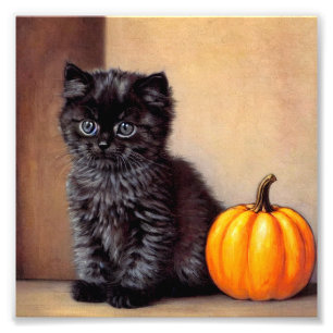 Vintage Halloween Black Kitten Illustration Photo Print