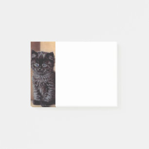 Vintage Halloween Black Kitten Illustration Post-it Notes