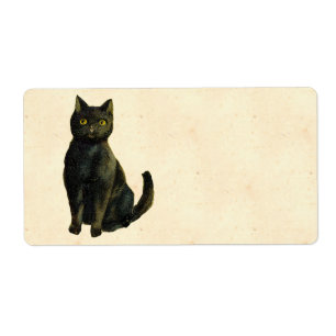 Vintage Halloween Cat