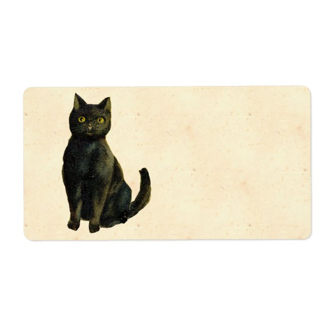 Vintage Halloween Cat (Front)