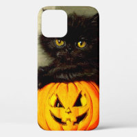 Vintage Halloween Cat and Jack-o’-lantern