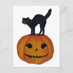 Vintage Halloween Cat Postcard