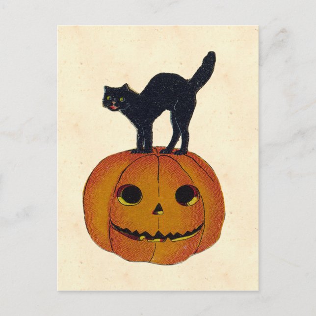 Vintage Halloween Cat Postcard (Front)