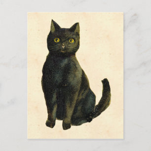 Vintage Halloween Cat Postcard