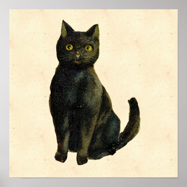 Vintage Halloween Cat Poster (Front)