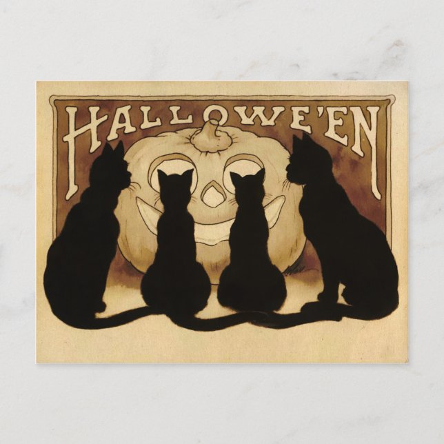 Vintage Halloween Cats Postcard (Front)