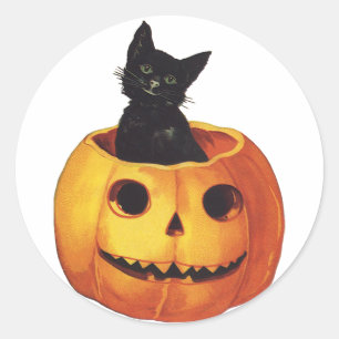 Vintage Halloween, Cute Black Cat in a Pumpkin Classic Round Sticker