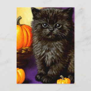 Vintage Halloween Kitten Holiday Postcard