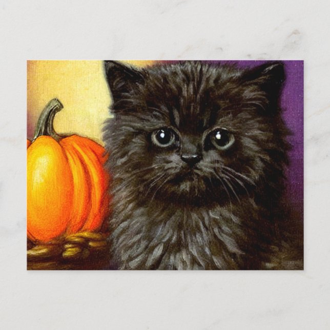 Vintage Halloween Kitten Postcard (Front)