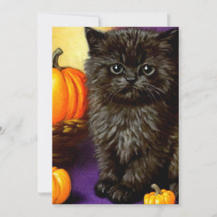 Vintage Halloween Kitten Save The Date