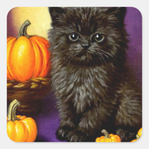 Vintage Halloween Kitten Square Sticker