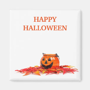 Vintage Halloween Orange Pumpkin Magnet