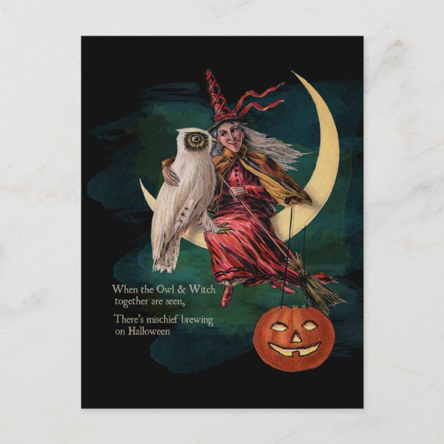 Vintage Halloween Owl and Witch Postcard (Front)