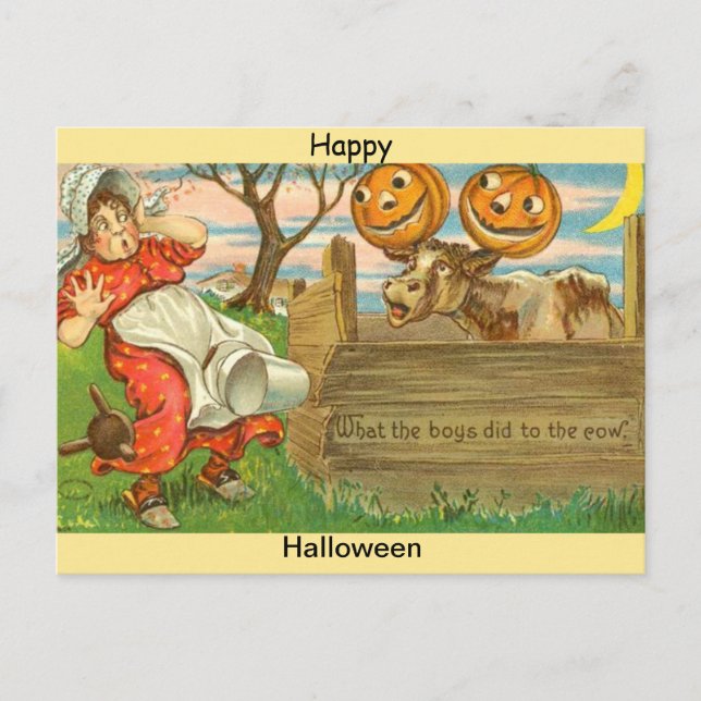 Vintage Halloween Post Card Copy: Pumpkins & Cow (Front)