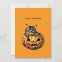 Vintage Halloween Pumpkin Kitty