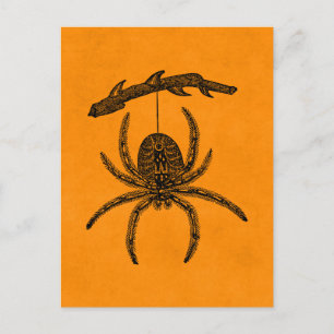 Vintage Halloween Spider Orange Background Spiders Postcard