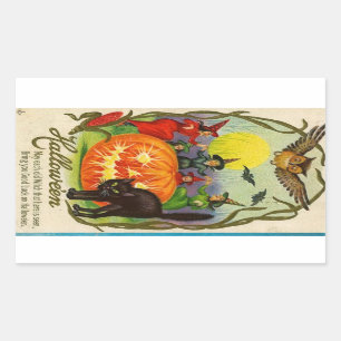 Vintage Halloween Sticker   Witch Cat
