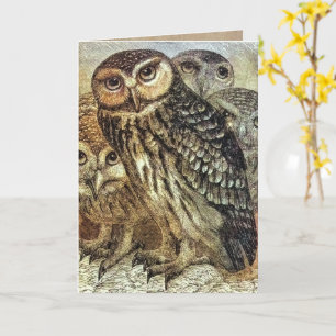 Vintage Halloween Three Owls Card