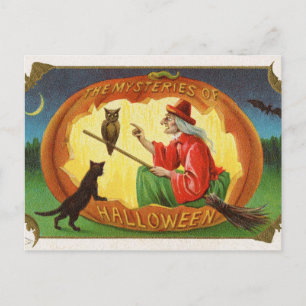 Vintage Halloween witch cat owl postcard