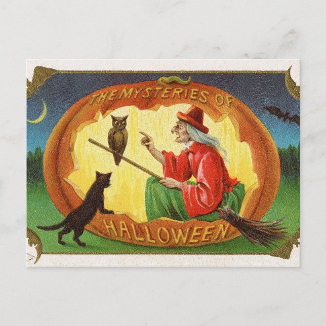 Vintage Halloween witch cat owl postcard (Front)