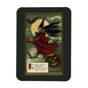 Vintage Halloween Witch Riding a Broom with Cat Magnet