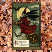 Vintage Halloween Witch Riding Broomstick with Cat