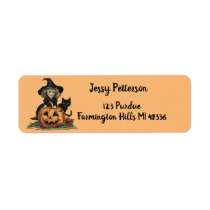 Vintage Halloween Witch with black cat and pumpkin Return Address Label