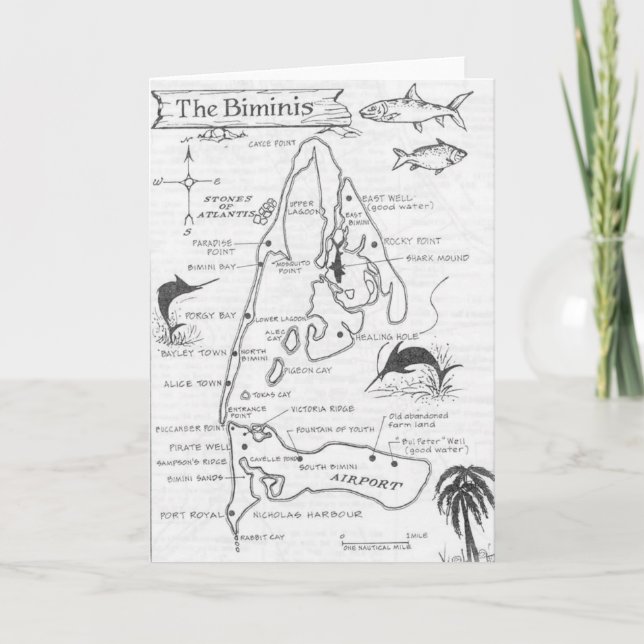 Vintage Hand-Drawn Bimini Islands Map Card (Front)